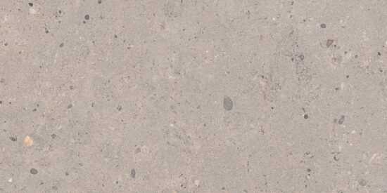 Dlažba Pastorelli Biophilic grey 30x60 cm mat P009500